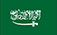 https://sa.hp-electric.com